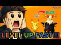 TIPS TO LEVEL UP YOUR PETS IN EVOMON INSANELY FAST!