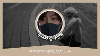 02/24-25/2020 Son Tae-jin Insta Live | Late Night Walk with Uni | No Chat