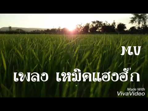 MV เพลง เหมิดแฮงฮัก