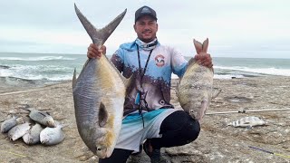 UM MONSTRO DE 10KG EM UMA ILHA INFESTADA DE PEIXES!!! 