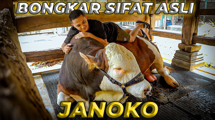 MENGENAL LEBIH DALAM JANOKO BERSAMA MAS HERMAWAN.
