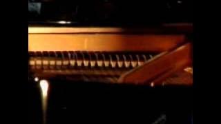 Nerina Pallot - Sophia (Live Acoustic)