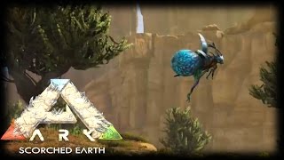 Bug Butt Juice! (Ark Sorched Earth Expansion Ep2)