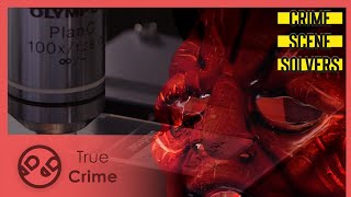 A maniac inspired by a horror movie? | Crime Scene Solvers 308 | True Crime