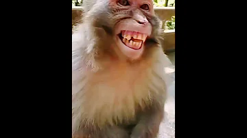 SALA MARA PAAD NIKAL GYA Anmi Gaming Pubg SHORTS COMEDY VIDEO 