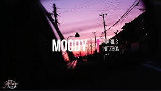 Marius Nitzbon - Moody
Moody is the second single of an upcoming Mariuss album after the succesfully launched first single Dancing Drops.
The introverted and melancholic melodie is opening up a musical universe in which the listeners thoughts drift along.
Please follow Marius@
YouTube: https://www.youtube.com/channel/UCIyKRv1MPQvlWFh1HwnmImg
Spotify: https://open.spotify.com/artist/7vFlCSZJKRJ01aXDGen210
Instagram: https://www.instagram.com/marius_nitzbon/
Apple Music: https://music.apple.com/us/album/for-chris-single/1523145295?uo=4
Author of the photography: Unknown Marius Nitzbon - Moody