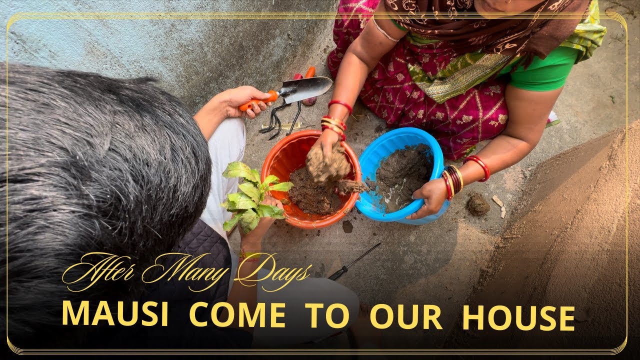 Mausi Ne Ye Konsa Tree Laga Dia 🌲🌴