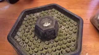 Cones 120 Site Preroll Machine Tricks and Tips!