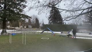 Shock teeter session 2 1/8