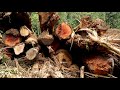 Beginning of video