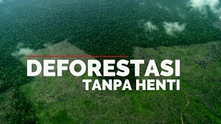 FWI: DEFORESTASI TANPA HENTI DI INDONESIA