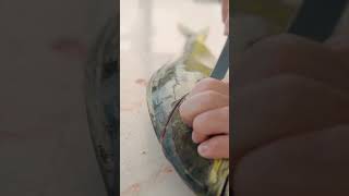 Mahi Mahi Fillet!