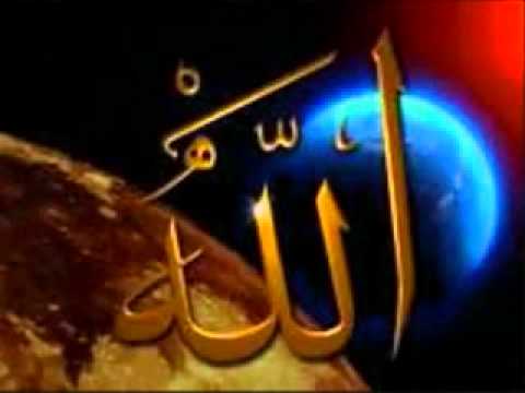 لاجل النبى 4