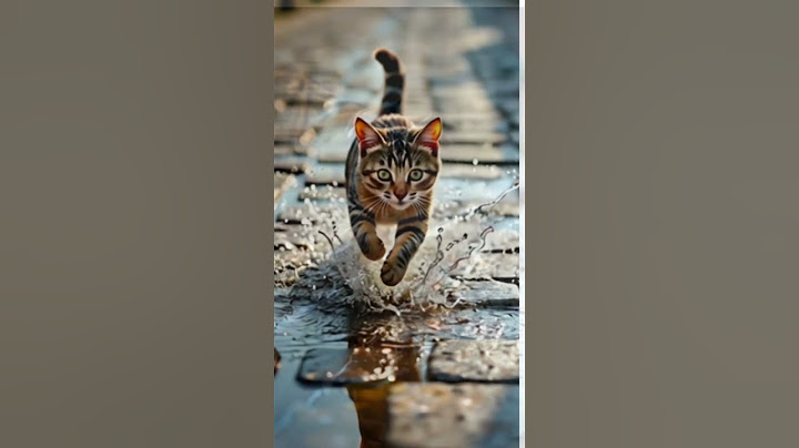 NOT ALL HEROES HAVE CAPES, SOME HAVE PAWS