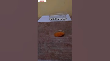 Turmeric+Detergent+Lemon Simple DIY Science Experiment #shorts  #shortvideo  #youtubeshorts  #viral