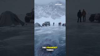The weirdest things found inside ice 😲 #facts #animals #wildlife