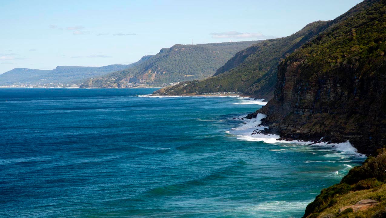 Palm Jungle loop track - Royal National Park