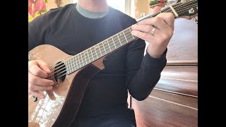 Cittern, short scale demo/  Rosewood body; Cedar top/ Nyberg Instruments Video