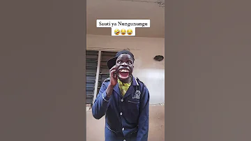 Sauti Ya Nungunungu Youtubeshorts Comedy 