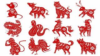 The 12 Chinese Zodiac Signs
