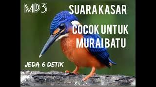 Download lagu BESETAN KASAR , BERJEDA SUARA JERNIH MASTERAN MURAI BATU