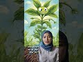 Menyibak Rahasia Bagaimana Tanaman Mengambil Air dari Akar ke Daun #FaktaTumbuhan #IlmuBotani #Alam