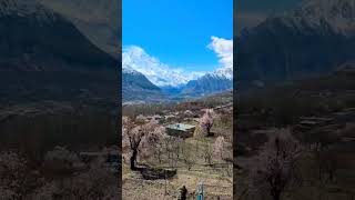 Beautiful Verses of Surah Rahman | Qari Syed Sadaqat Ali | Hunza Blossom & Majestic Mountains