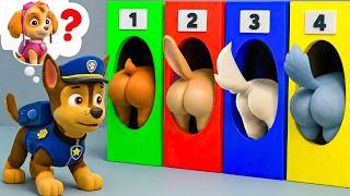 OMG! Where is My SKYE?! CHASE's Choice - DON'T Choose Wrong Challenge! - Paw Patrol 3D Animation
