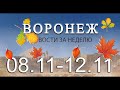 Новости Воронежа (8 ноября - 12 ноября)