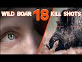 Wild boar hunting shots  compilation de tirs de sangliers 2023