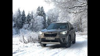 subaru forester