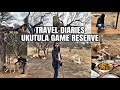 WALKING WITH LIONS | UKUTULA GAME RESERVE | TRAVEL DIARIES | EPISODE 5 | JOHANNESBURG | SOUTH AFRICA