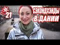 ДАНИЯ 🇩🇰 Копенгаген. Рождество в Дании. Секонд-хенды в Дании. Блошиные рынки в Дании