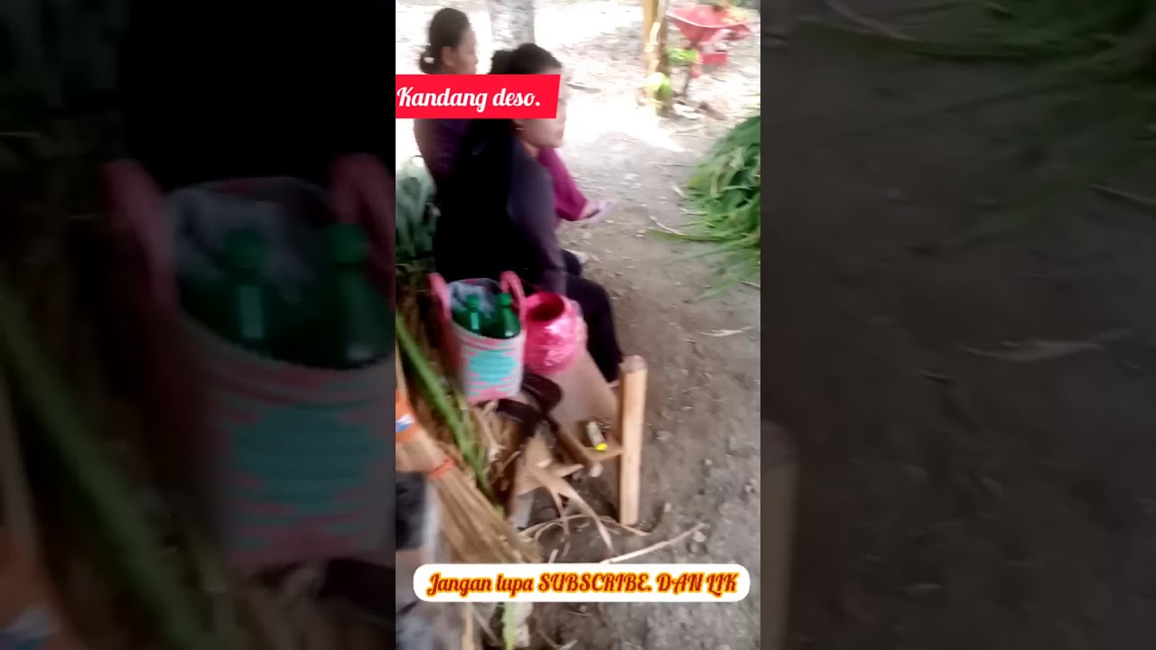 si mental vs lumusin. pegon..