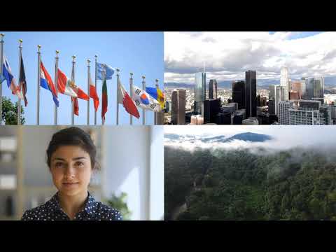 Papua New Guinea Slows Rainforest Deforestation after a Decade, According to New UNFCCC Report