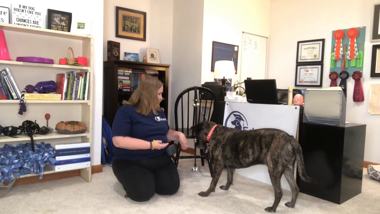 Ring Bell To Go Potty - YouTube