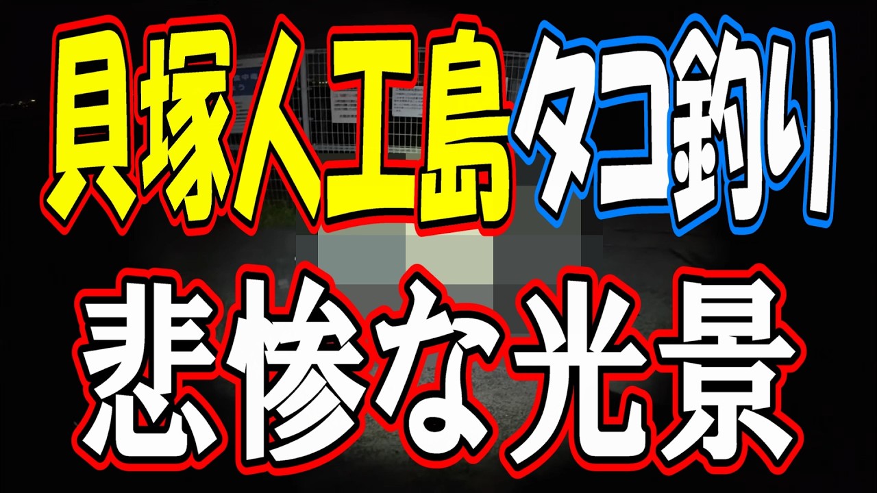 Octopus Fishing ] Kaizuka Artificial Island is insane! #Beginners