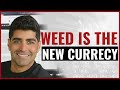 Weed is The New Currency $NIO $TLRY #DayTrading, #AndrewAziz, #BearBullTraders, #BBTFamily, #Swing