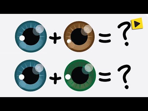 Vídeo: Como Descobrir A Cor Dos Olhos De Uma Criança