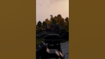 Dayz being dayz.. #clips #funny #gaming #dayz #random #zombieshorts