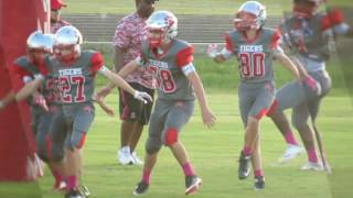 Dms wk7 vs Vinton