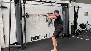 Standing Cable Face Pull demonstration
