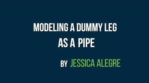 Modeling a Dummy Leg as a Pipe