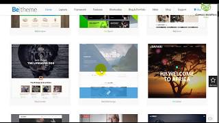 Top eCommerce WordPress Themes