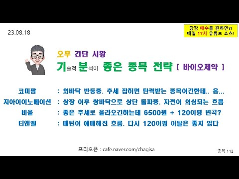 [오후시황 및 종목전략] 비올 지아이이노베이션 티앤엘 <strong>코미팜</strong> 바이오 제약 주가 매매 전략 230818