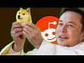 POGGODOGGO DIVENTA UN POKEMON!? QUESTI MEME SONO ASSURDI!