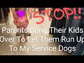 Service Dog Interference | Parents Stand And Watch As Their Kids Run Up To Service Dogs