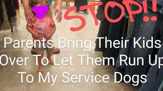 Service Dog Interference | Parents Stand And Watch As Their Kids Run Up To Service Dogs
