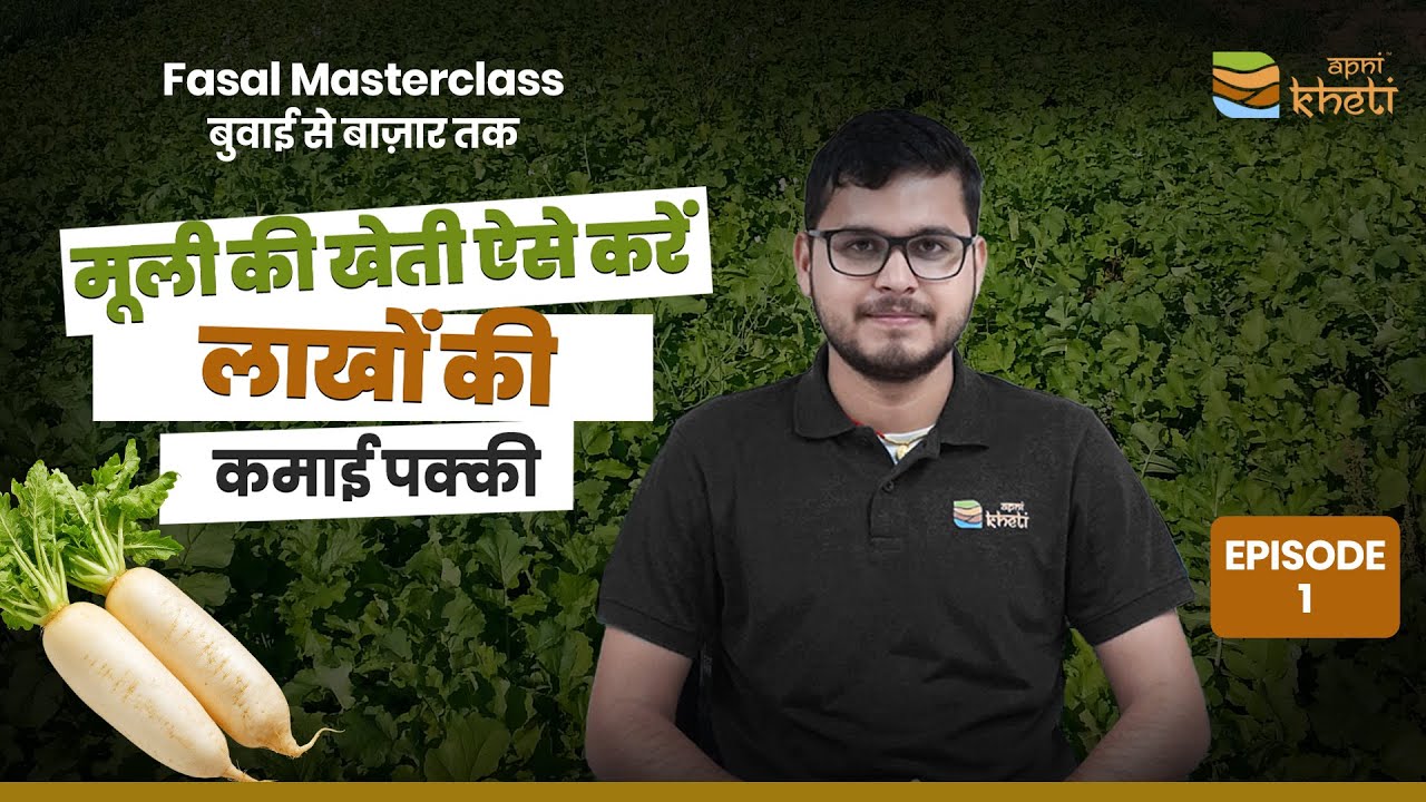 मूली की खेती A-to-Z बिलकुल शुरू से सीखो I Radish farming I Fasal ...