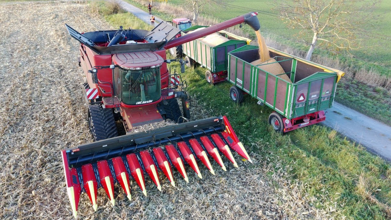 Körnermaisernte 2025 Mähdrescher Case 7240 Terra Trac mit Drago Maisflücker Traktoren Landwirtschaft